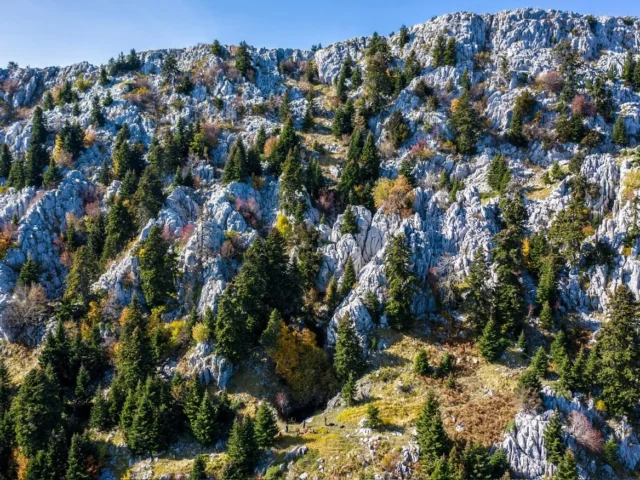 Καταβόθρα Βολιώτη